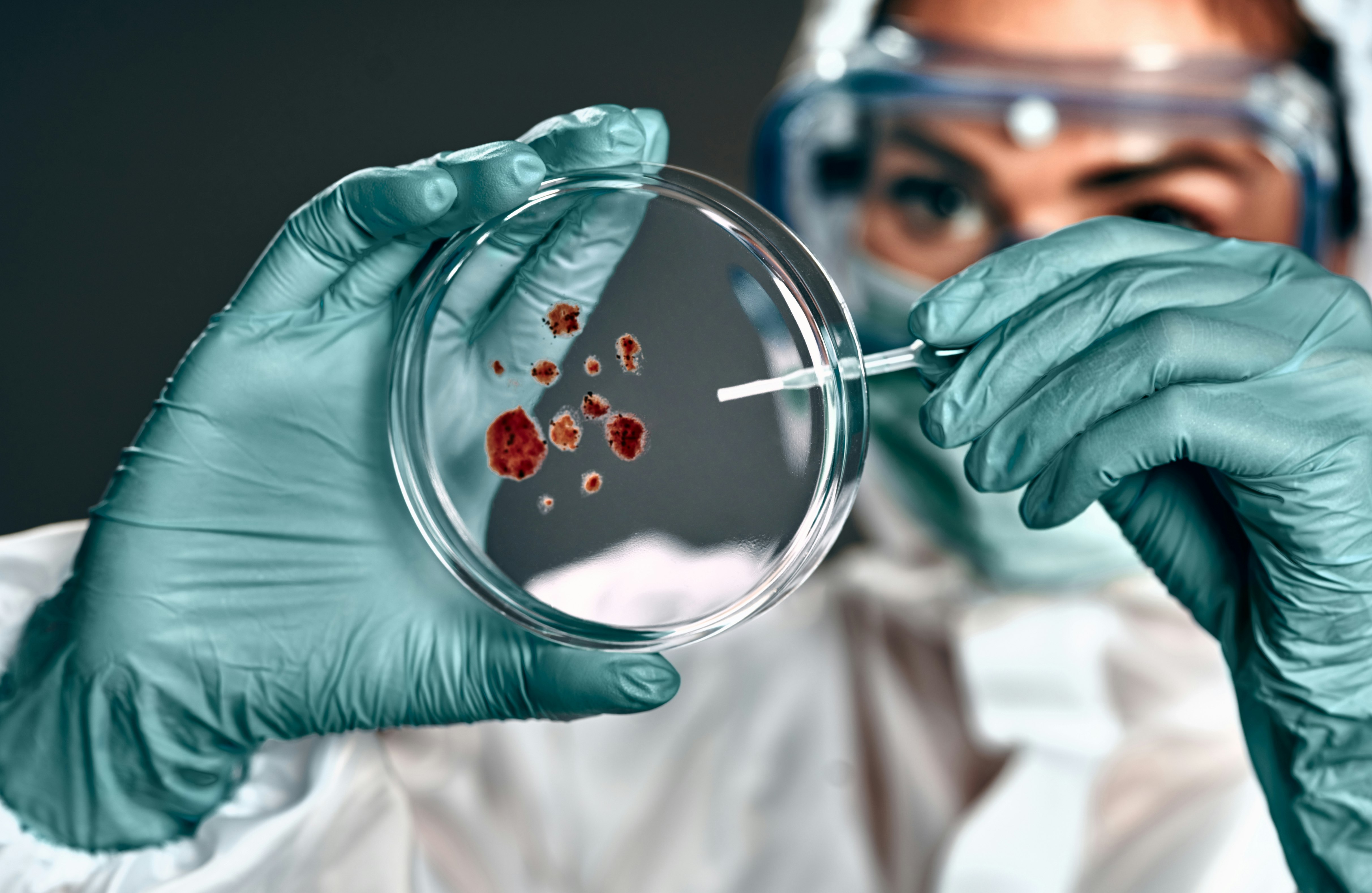 Bloodborne Pathogens : Final Rule  