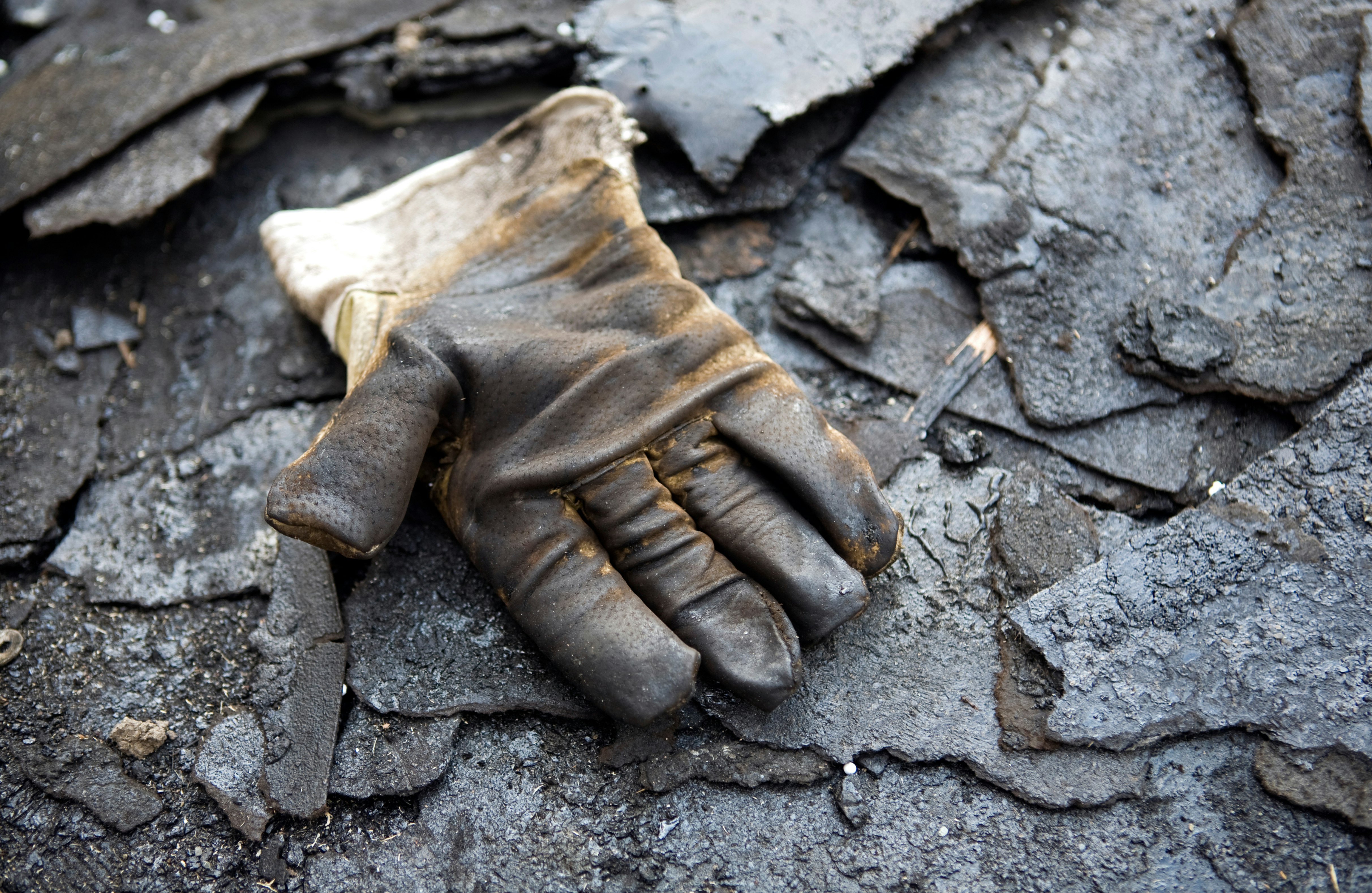 Book'em Danno! Training Course